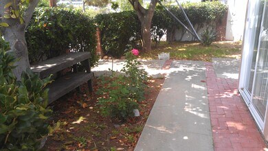 33262 Palo Alto St, Unit 2 in Dana Point, CA - Building Photo - Building Photo