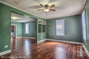 202-204 S Chestnut St in Mill Hall, PA - Building Photo