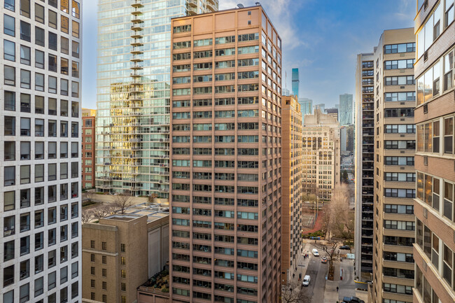 247 E Chestnut St in Chicago, IL - Building Photo - Building Photo