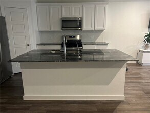 1119 Fringed Bluestar Dr in Rosharon, TX - Building Photo - Building Photo