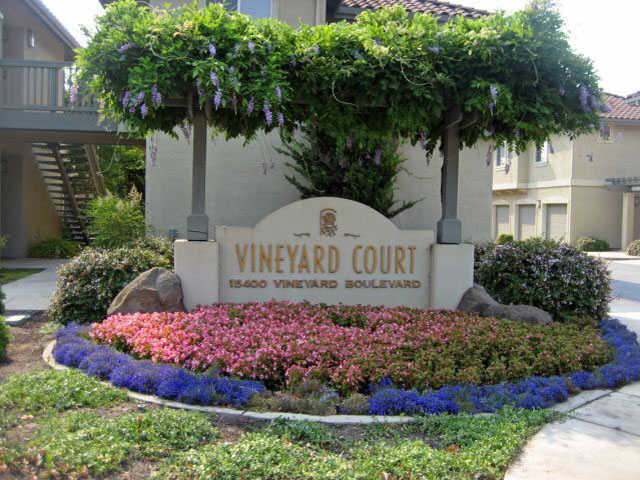 Vineyard Court in Morgan Hill, CA - Building Photo - Building Photo