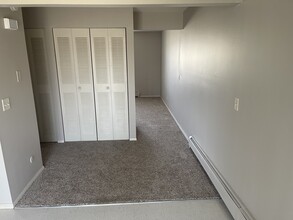 39 Surrey Dr in Elgin, IL - Building Photo - Building Photo