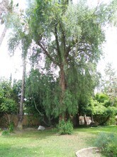 2290 Canonita Dr in La Habra, CA - Foto de edificio - Building Photo