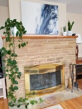 121 Grove Ave, Unit Unit 1 in Fox River Grove, IL - Building Photo - Building Photo