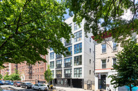 293 Hawthorne St in Brooklyn, NY - Building Photo - Building Photo