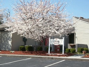 Oak Tree Farms in Hopkinsville, KY - Foto de edificio - Building Photo