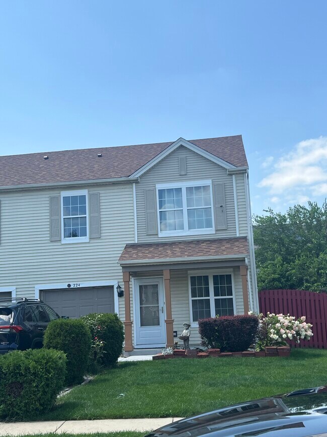 224 Williamsburg Ct in Romeoville, IL - Building Photo - Building Photo