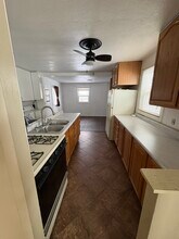 313 E North St in Albion, MI - Building Photo - Building Photo