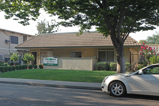 Pine Grove Apartments in Modesto, CA - Foto de edificio - Building Photo