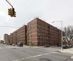 463 Watkins St in Brooklyn, NY - Building Photo