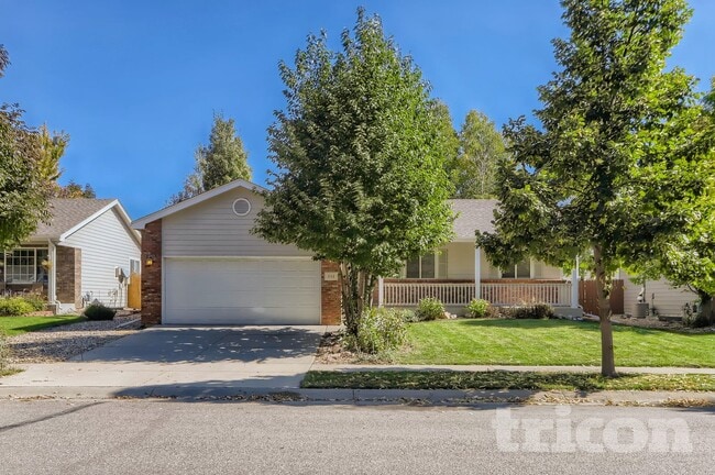 644 Blue Azurite Ave in Loveland, CO - Building Photo - Building Photo