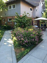 243 College Ave SE, Unit Carriage House in Grand Rapids, MI - Building Photo