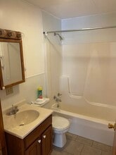 300 E 2nd St, Unit 4 in Williamsburg, PA - Building Photo - Building Photo