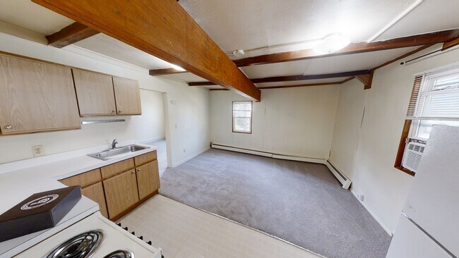 424 N State St in Ann Arbor, MI - Building Photo - Building Photo