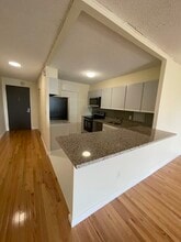 60 Longwood Ave, Unit 410 in Brookline, MA - Foto de edificio - Building Photo