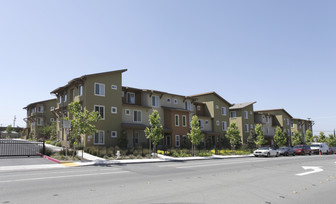 Los Medanos Village Apartments