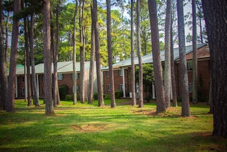 Windy Lakes Apartments in Louisville, TN - Building Photo - Building Photo