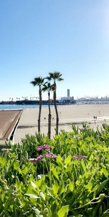 6 3rd Pl in Long Beach, CA - Building Photo