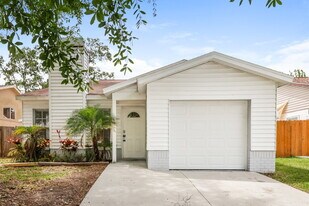 11105 Cherrywood Ln in Riverview, FL - Building Photo