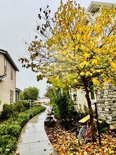 2617 Alliston Loop in Dublin, CA - Building Photo - Building Photo