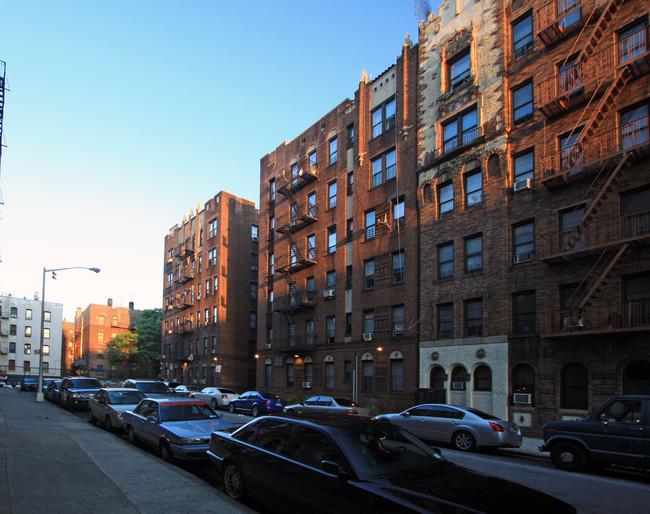 Prospect Lefferts Gardens in Brooklyn, NY - Foto de edificio - Building Photo