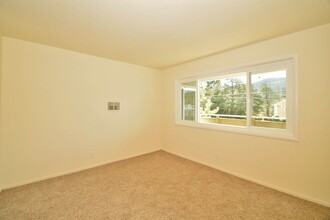 1208 Sir Francis Drake Blvd in San Anselmo, CA - Building Photo - Building Photo