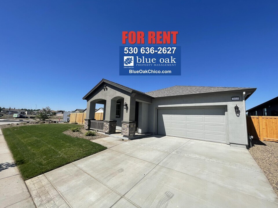 3413 Chamberlain Run in Chico, CA - Building Photo