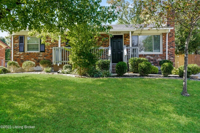 property at 11004 Albion Dr