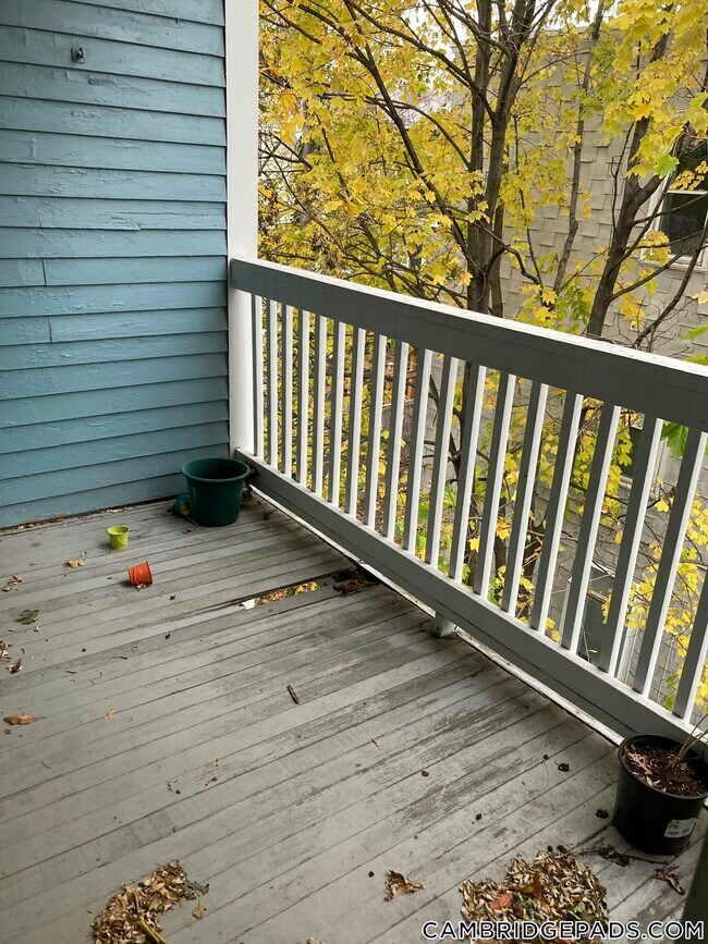 9 Eustis St in Cambridge, MA - Building Photo - Building Photo