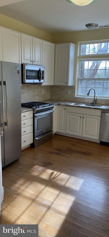 44253 Litchfield Terrace in Ashburn, VA - Building Photo - Building Photo