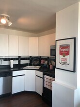 1255 N Sandburg Terrace in Chicago, IL - Building Photo - Building Photo