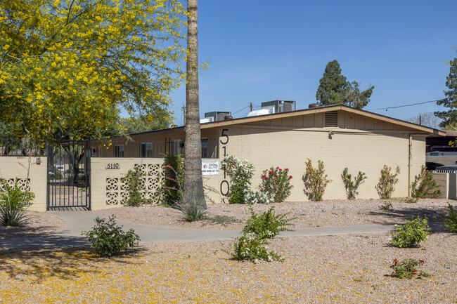 Camelback Court in Phoenix, AZ - Building Photo - Building Photo