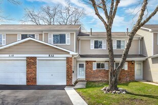 532 Alton Ct in Carol Stream, IL - Building Photo