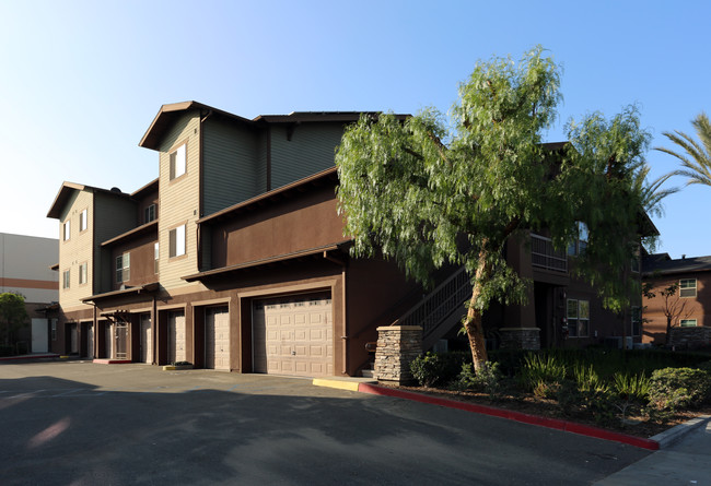 The Vineyard Townhomes in Anaheim, CA - Building Photo - Building Photo