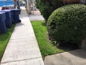 1109-1115 N Vista St in West Hollywood, CA - Building Photo - Building Photo