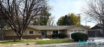 500 Carter Dr in Roswell, NM - Building Photo