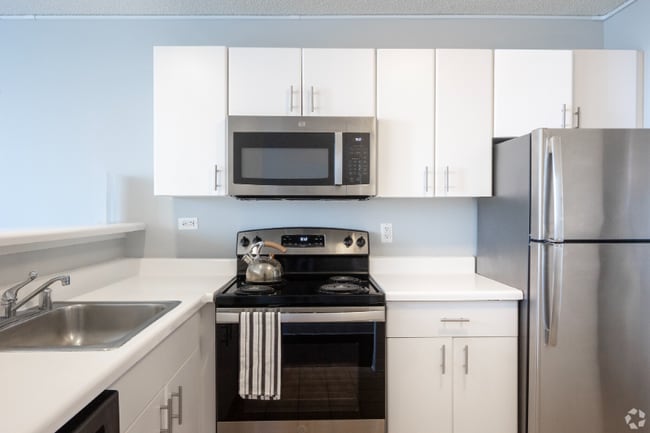 445 N McClurg Ct in Chicago, IL - Building Photo - Building Photo