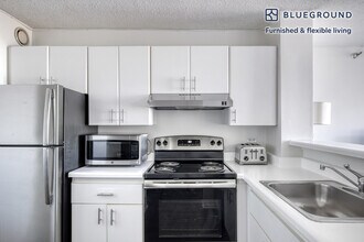 445 E Ohio St in Chicago, IL - Building Photo - Building Photo