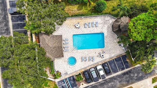 3408 Primrose Way in Palm Harbor, FL - Building Photo - Building Photo