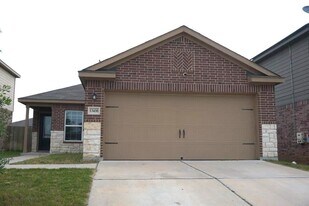 13436 Harry S Truman Dr in Manor, TX - Building Photo