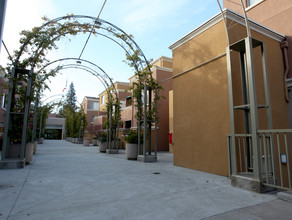 City Center Plaza in Redwood City, CA - Building Photo - Building Photo