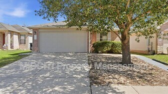 11309 Autumn Ash Dr in Manchaca, TX - Building Photo
