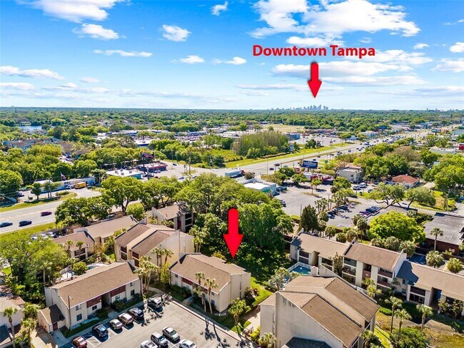 8601 Huron Ct in Tampa, FL - Building Photo - Building Photo