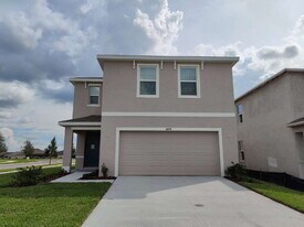 31478 Penny Surf Lp in Wesley Chapel, FL - Building Photo