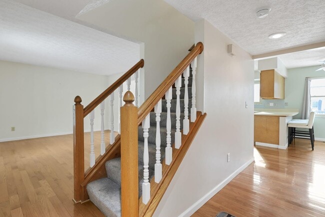 2419 Breathstone Dr in Powell, OH - Building Photo - Building Photo