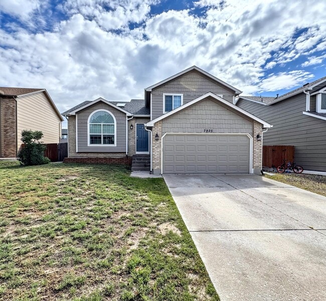 7925 Chancellor Dr