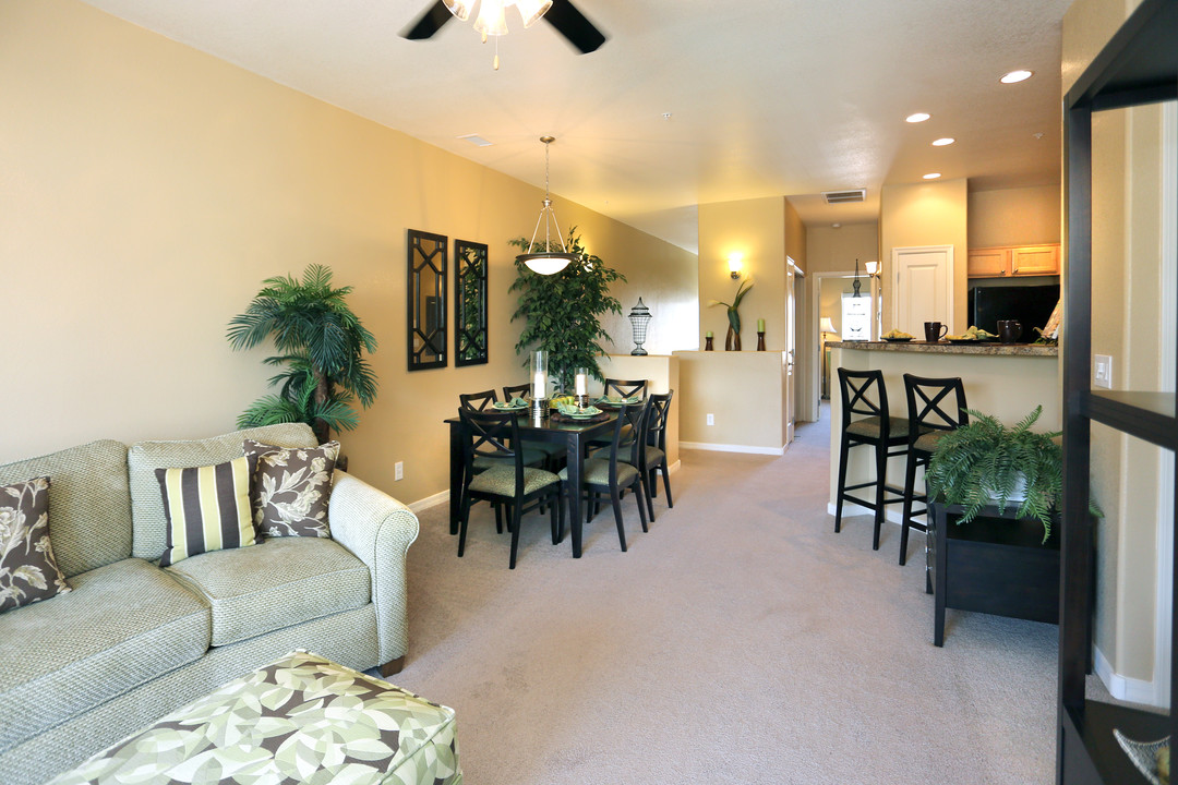 Sereno Townhomes Photo