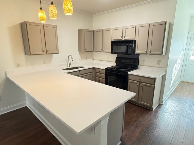 19923 Weeping Water Run in Cornelius, NC - Building Photo - Building Photo