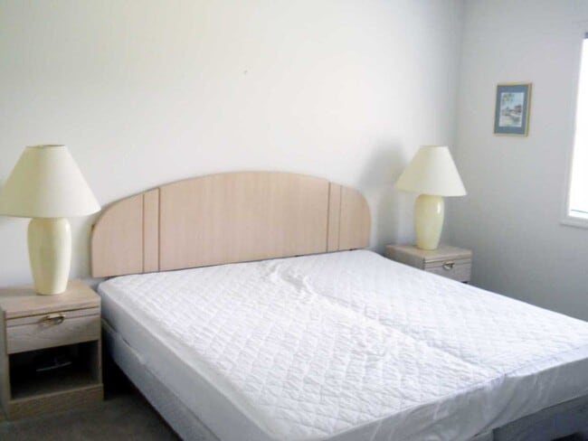 497 White River Dr in Myrtle Beach, SC - Building Photo - Building Photo