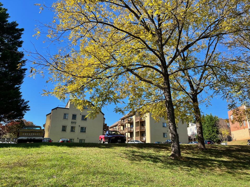 1002 Linden Ave in Charlottesville, VA - Building Photo